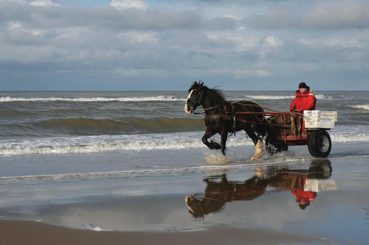 Centraal Aan Zee Apartamento Egmond aan Zee Exterior foto